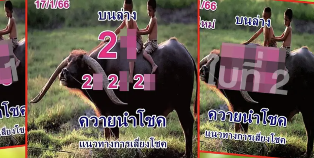 เลขเด็ด 17/1/66