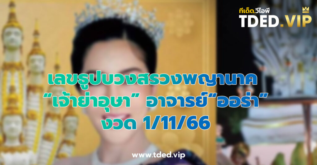 เลขเด็ด 1/11/66