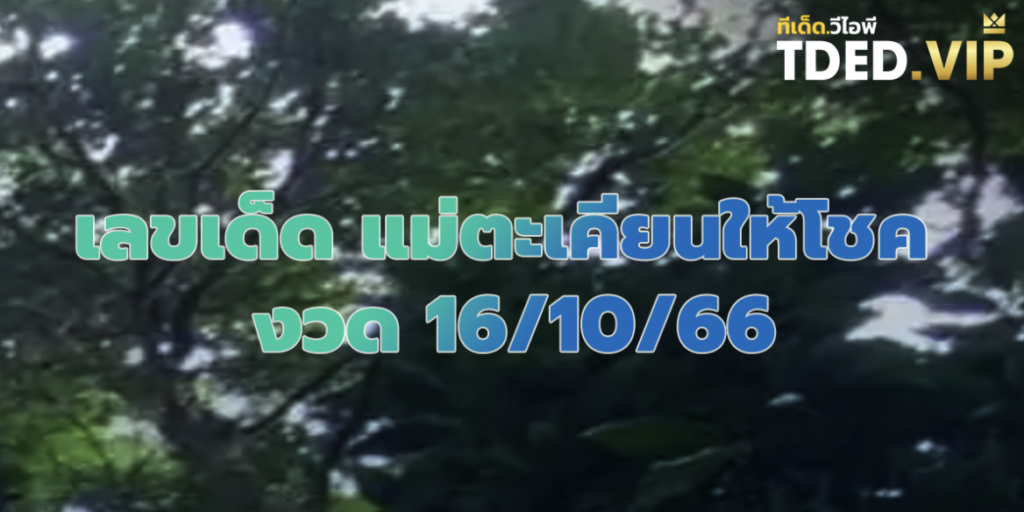 เลขเด็ด 16/10/66