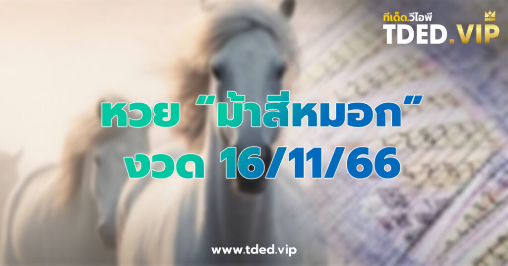 เลขเด็ด 16/11/66