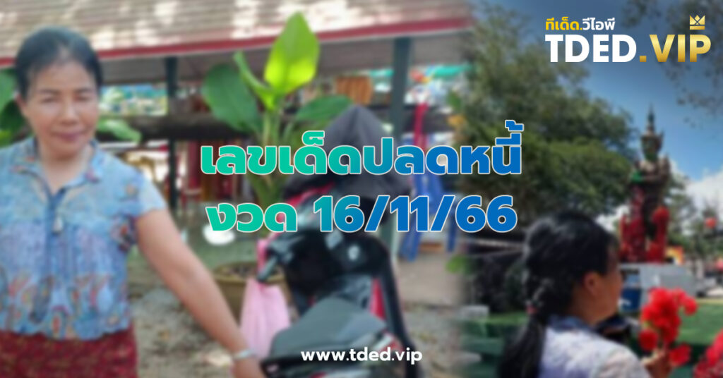 เลขเด็ด 16/11/66