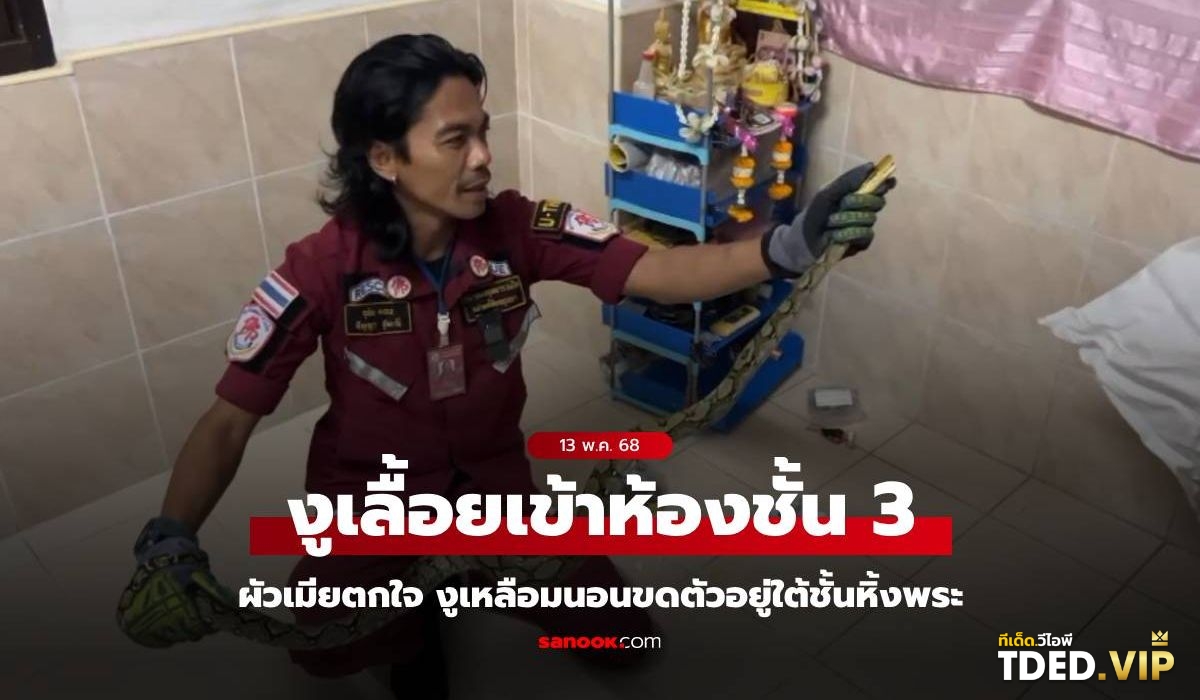 เลขดังงวดนี้