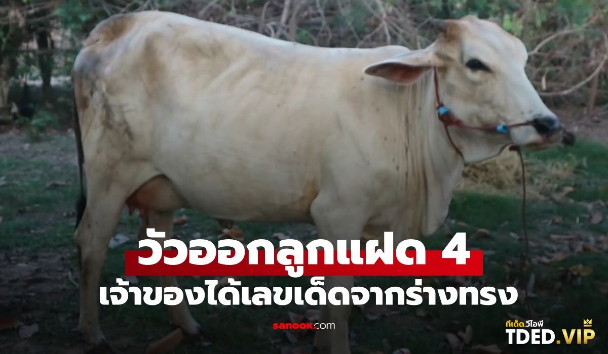 เลขดังงวดนี้