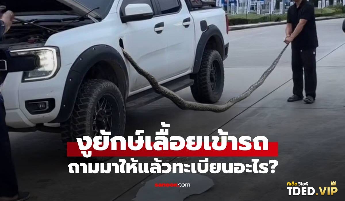 เลขดังงวดนี้