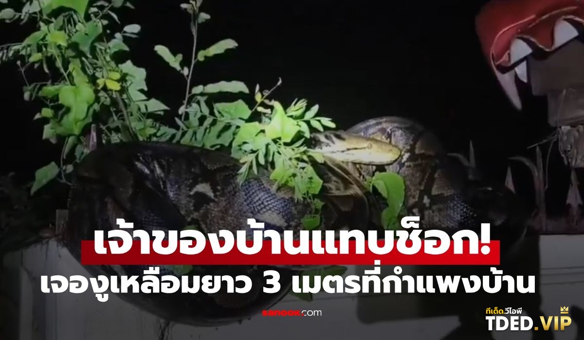 เลขดังงวดนี้